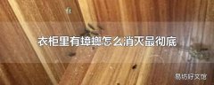 衣柜里有蟑螂怎么消灭最彻底