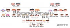 爸爸的堂姐该如何称呼