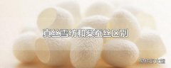 真丝雪纺和桑蚕丝区别