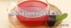 杨梅汁弄到白色衣服上怎么清洗