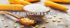 普通淀粉可以代替玉米淀粉吗