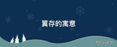 翼存的寓意