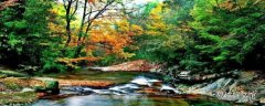青川县景点