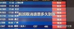 航班取消退票多久到账