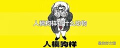 人模狗样指什么动物