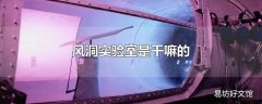 风洞实验室是干嘛的