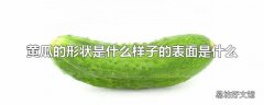 黄瓜的形状是什么样子的表面是什么