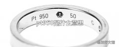 pt950是什么意思