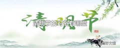 清明节的习俗有哪些