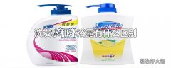 洗发水和沐浴露有什么区别