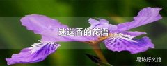 迷迭香的花语