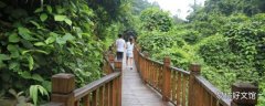 宁明县景点