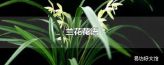兰花花语