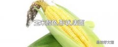 玉米颜色,形状,表面