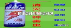 蟑螂闻到杀虫剂会死吗