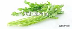 芹菜可以炒什么