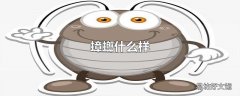 蟑螂什么样