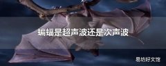 蝙蝠是超声波还是次声波
