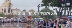 上海迪士尼遇到下雨怎么办