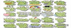 抹茶旦旦是什么动物