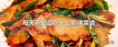 每天不知道吃什么菜,求菜谱