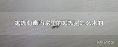 蠼螋有毒吗家里的蠼螋是怎么来的