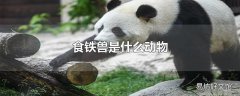 食铁兽是什么动物