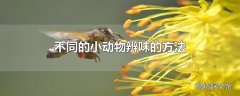 不同的小动物辨味的方法