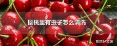 樱桃里有虫子怎么清洗