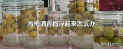 青梅酒青梅浮起来怎么办