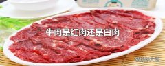 牛肉是红肉还是白肉