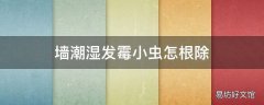 墙潮湿发霉小虫怎根除