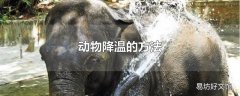 动物降温的方法