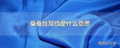 桑蚕丝双绉是什么意思