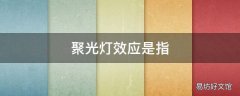 聚光灯效应是指