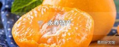 永春特产