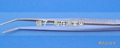 镊子一般在哪里买