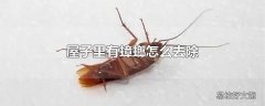 屋子里有蟑螂怎么去除