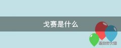 戈赛是什么