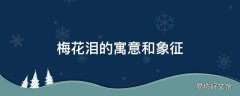 梅花泪的寓意和象征