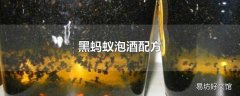 黑蚂蚁泡酒配方