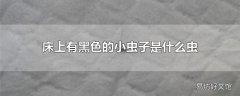 床上有黑色的小虫子是什么虫