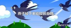 燕子掉下来能放回去吗
