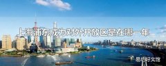 上海浦东成为对外开放区是在哪一年