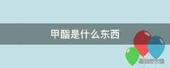 甲酯是什么东西