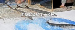 中华鲟鱼多少一公斤