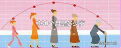 300个月是多少岁