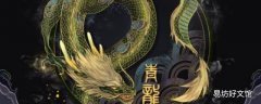 青龙是什么
