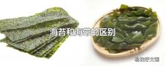 海苔和海带的区别