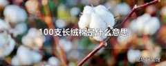 100支长绒棉是什么意思